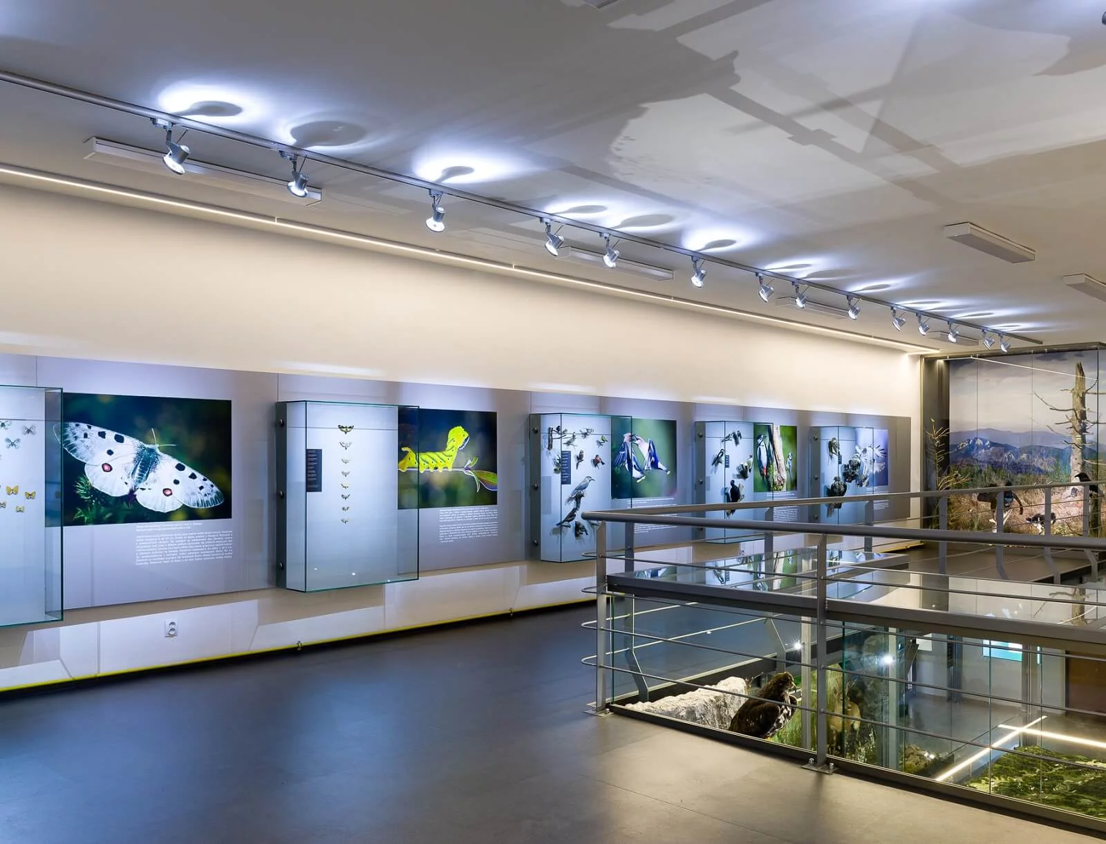 Expozícia prírody Pienin