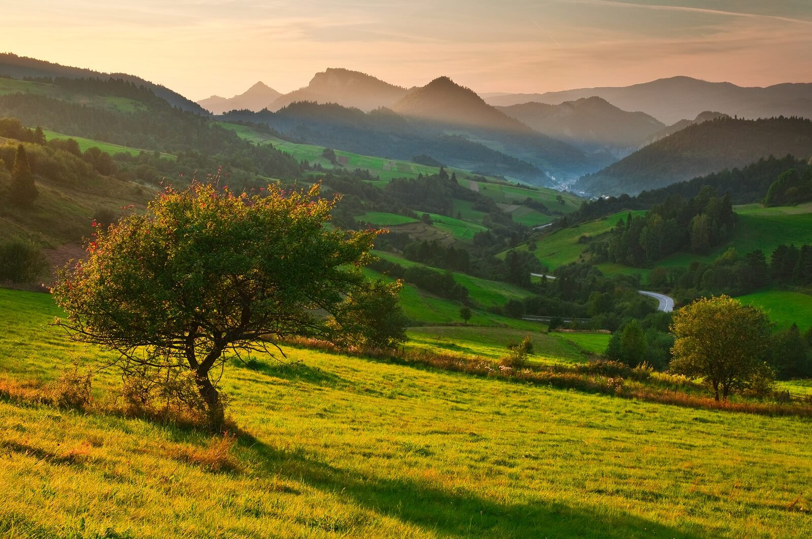 Pieninský národný park