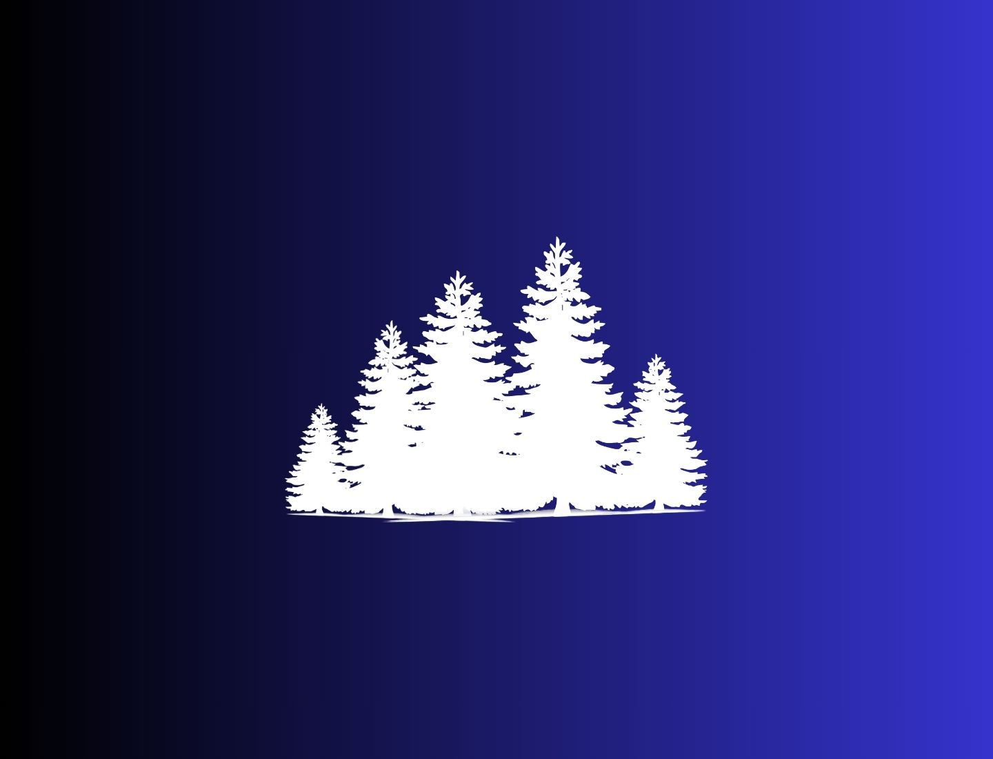 Chodník korunami stromov