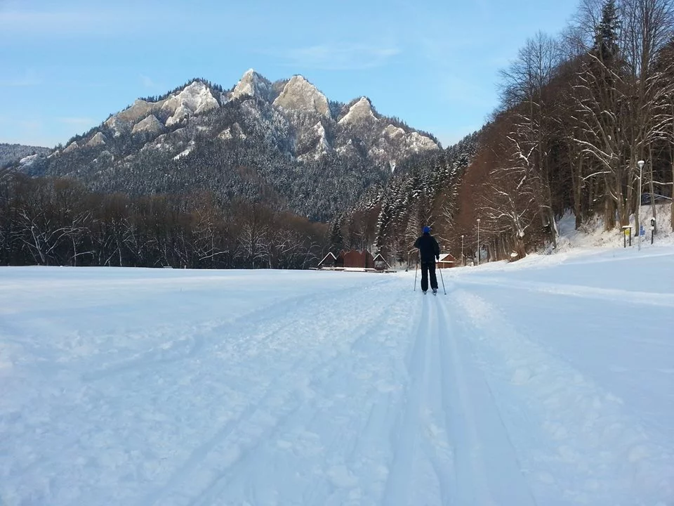 Bežkovanie