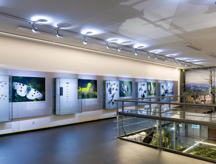 Expozícia prírody Pienin